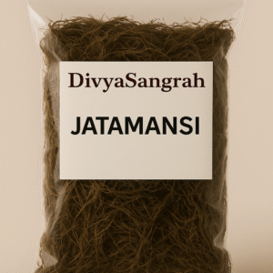 "DivyaSangrah branded transparent ziplock pouch filled with dried Jatamansi roots, a sacred herb used in Hindu puja rituals and Ayurvedic practices, displayed against a soft beige background."
