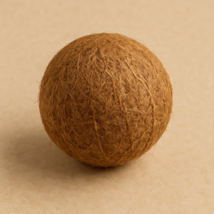 "Whole dried coconut (sukha nariyal gola saabut) used in Hindu pooja rituals, displayed on a beige background for DivyaSangrah puja items collection."